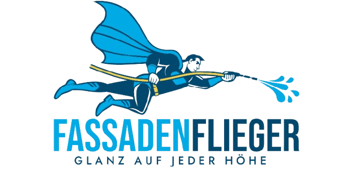 Pressure Washing Logo